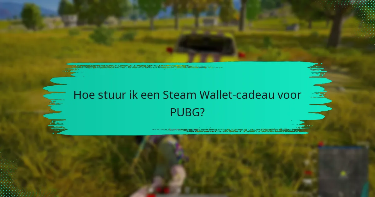 Hoe ontvang ik Steam Wallet-cadeaus voor PUBG?