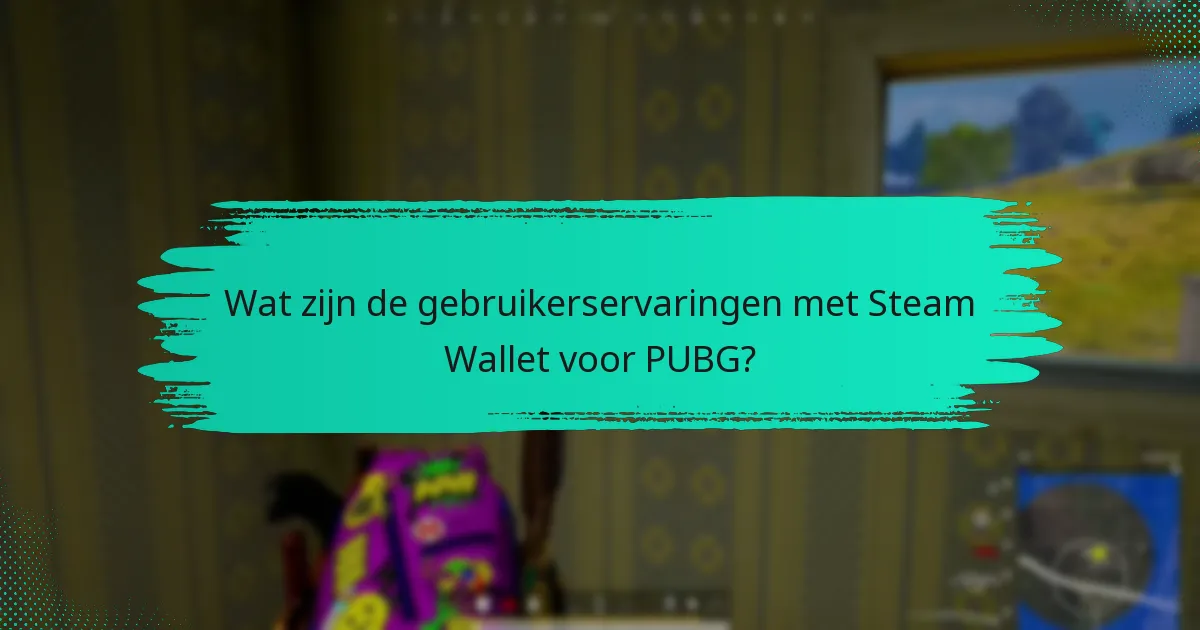 Hoe verhoudt Steam Wallet zich tot andere betaalmethoden voor PUBG?