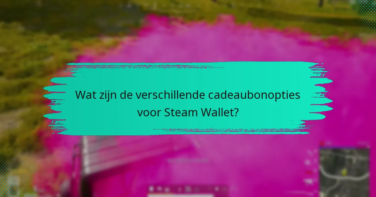 Wat zijn de verschillende cadeaubonopties voor Steam Wallet?