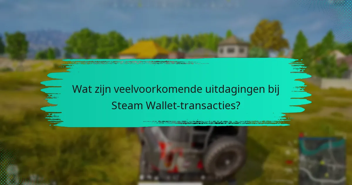 Welke alternatieven zijn er voor het beheren van Steam Wallet-transacties?