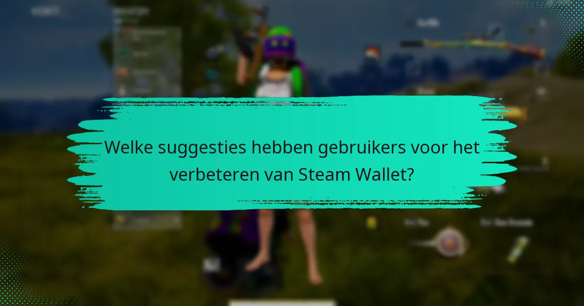 Welke veelvoorkomende problemen ondervinden gebruikers met Steam Wallet in PUBG?